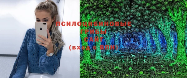 индика Волоколамск