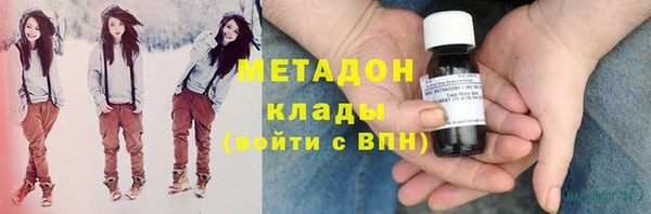 индика Волоколамск