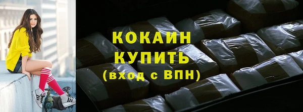 индика Волоколамск