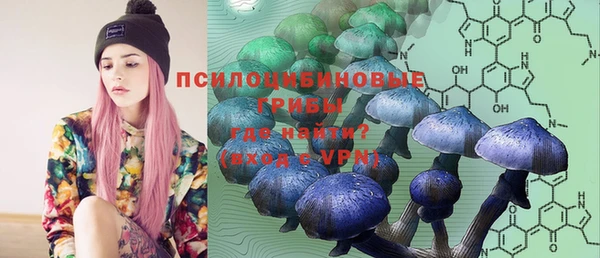 ешки Волосово