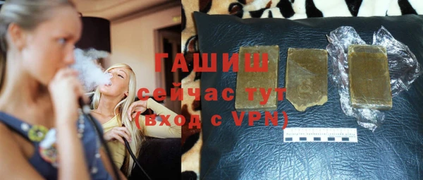 индика Волоколамск