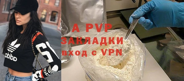 индика Волоколамск