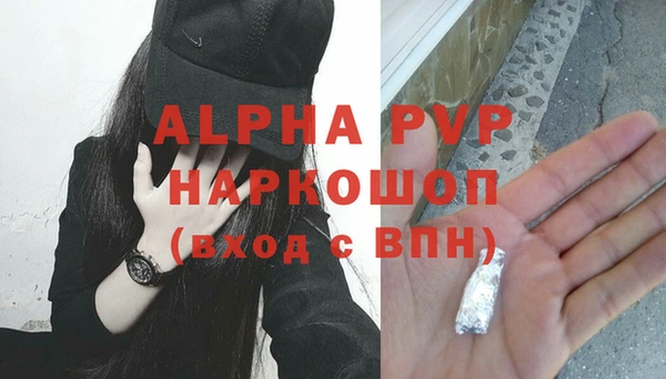индика Волоколамск