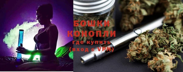 индика Волоколамск