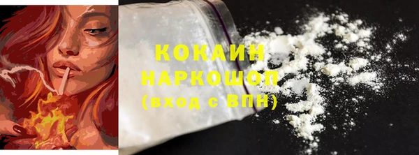 индика Волоколамск