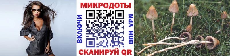 Галлюциногенные грибы ЛСД  Купить  Горняк 