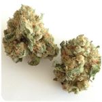 Шишки "White Widow"  (Белая вдова)  Гидропоника -  Бошка VHQ в Горняке